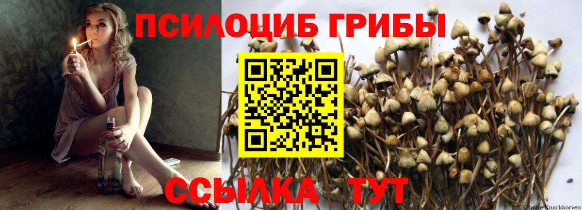 Асбест  Галлюциногенные грибы мицелий  Вход с VPN 